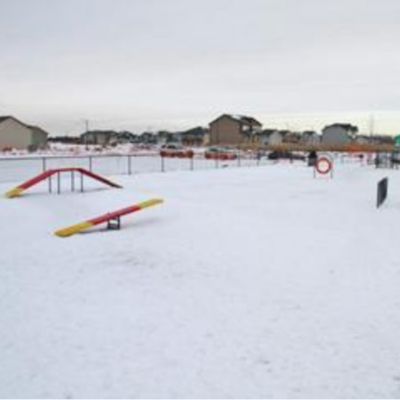 Paisley Dog Park 