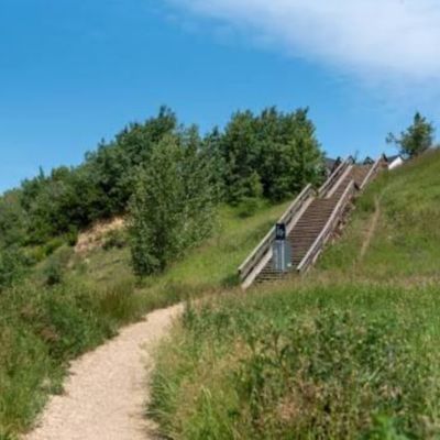 Patricia Ravine Off - Leash Area 