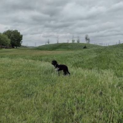 Satoo Dog Park 