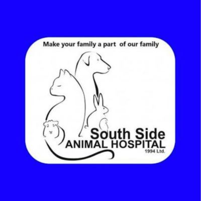 South Side Animal Hosptial