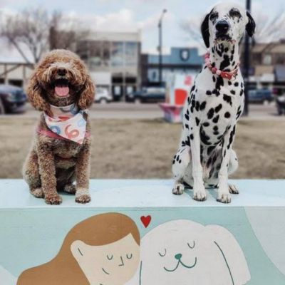 SouthBARK on Whyte