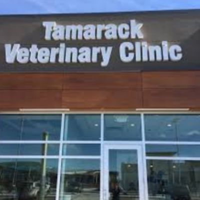 Tamarack Veterinary Clinic 