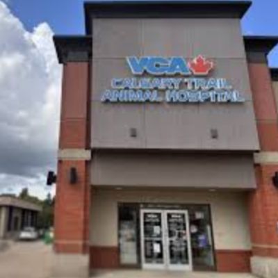 VCA Canada Calgary Trail Animal Hospital 