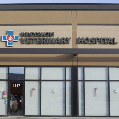 Windermere Veterinary Hospital
