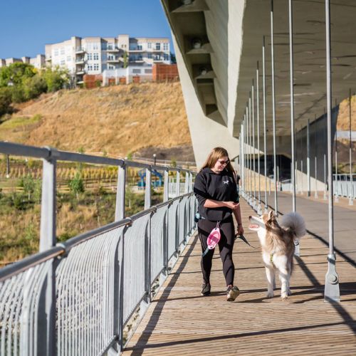 central edmonton