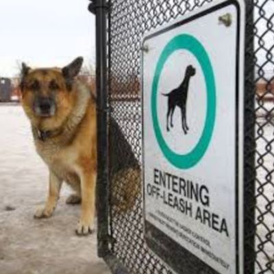Grand Trunk Off Leash Dog Park 