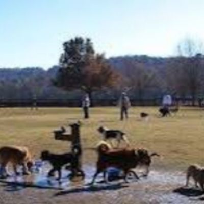 Inglewood Off Leash Dog Park 