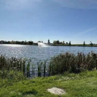 Beaumont Creek Path