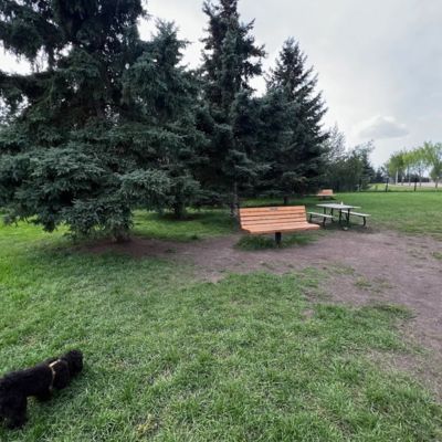 Heritage Hills Off Leash Dog Park
