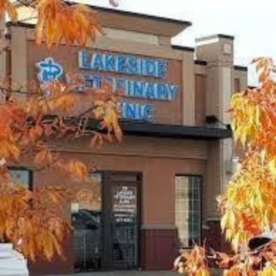 Lakeside Veterinary Clinic 