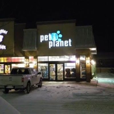 Pet Planet