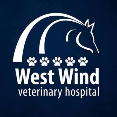 West Wind Veterinary Hospital 